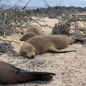 Meet your Posher, Ingrid
